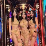 karaoke Sing KTV 66 tố hữu